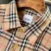 Burberry Shirts for Burberry Men's AAA+ Burberry Long-Sleeved Shirts #A58529