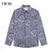 Dior shirts for Dior Long-Sleeved Shirts for men #A29041