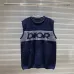 Dior short sleeve sweater White/Navy #A23153