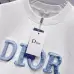 Dior T-shirts for men blue letters #A47029