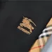 Burberry Tracksuits for Men's long tracksuits #A55307