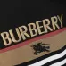 Burberry Tracksuits for Men's long tracksuits #A60160
