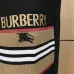 Burberry Tracksuits for Men's long tracksuits #A60160
