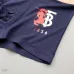 Burberry Underwears for Men (3PCS) #99117251