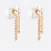 Dior Earrings #999916169