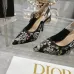 Dior Shoes for Dior High-heeled Shoes for women #A49373