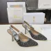 Dior Shoes for Dior High-heeled Shoes for women #A59691