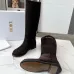 Dior Shoes for Dior boots for women #A56317