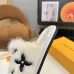 Louis Vuitton Cozy Fluffy Slippers with Leather Straps and Brand Embellishments #A54599
