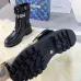 Louis Vuitton Shoes for Women's Louis Vuitton boots #999919120