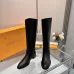 Louis Vuitton Shoes for Women's Louis Vuitton boots #A55670
