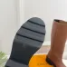 Louis Vuitton Shoes for Women's Louis Vuitton boots #A56125