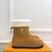 Louis Vuitton Shoes for Women's Louis Vuitton boots #A56633