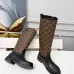 Louis Vuitton Shoes for Women's Louis Vuitton boots #A57405