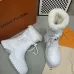 Louis Vuitton Shoes for Women's Louis Vuitton boots #A58255