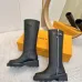 Louis Vuitton Shoes for Women's Louis Vuitton boots #A58261