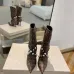 Louis Vuitton Shoes for Women's Louis Vuitton boots heel height:10cm #A58315