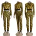 Fendi Fashion Tracksuits for Women #A29874