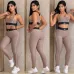 Alo Fashion Tracksuits for Women Special Price#A51035